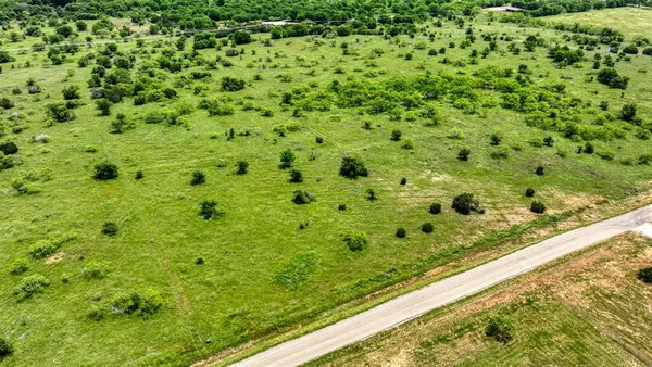 a view of a green field with lots of bushes