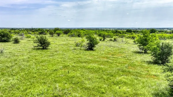 a view of yard with green space