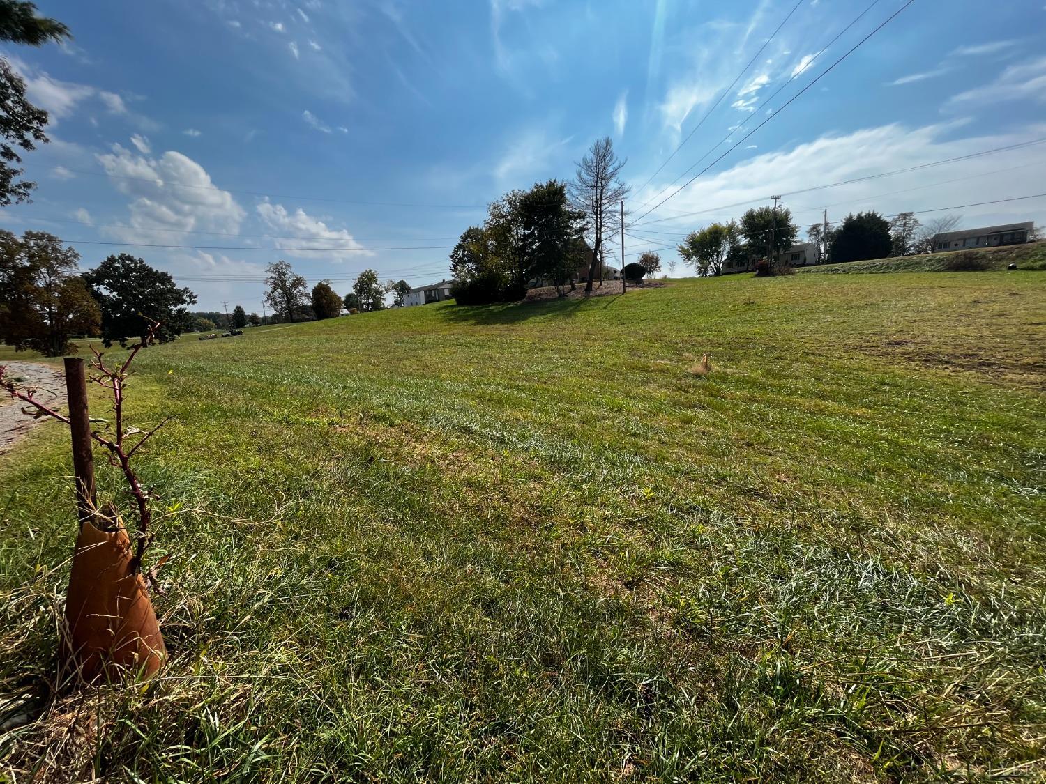 1089 Howell Ridge Lane Vinton, VA 24179 - Photo 33 of 39 a view of a field with an trees