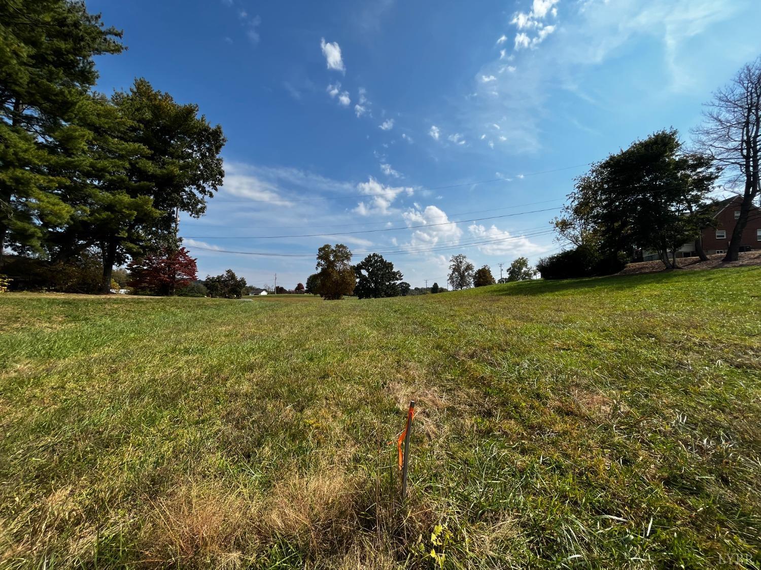 1089 Howell Ridge Lane Vinton, VA 24179 - Photo 34 of 39 a view of yard with outdoor space