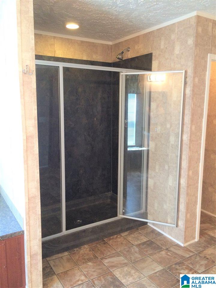 1691 Mountain Springs Road Ashville, AL 35953 - Photo 25 of 50