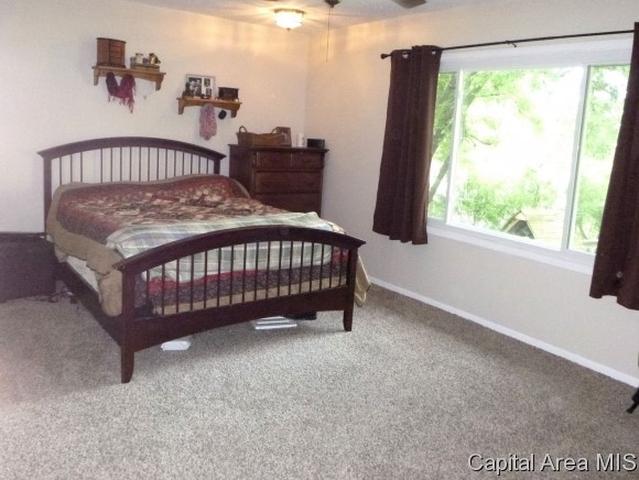 32 Lucerne Drive Springfield, IL 62707 - Photo 20 of 24