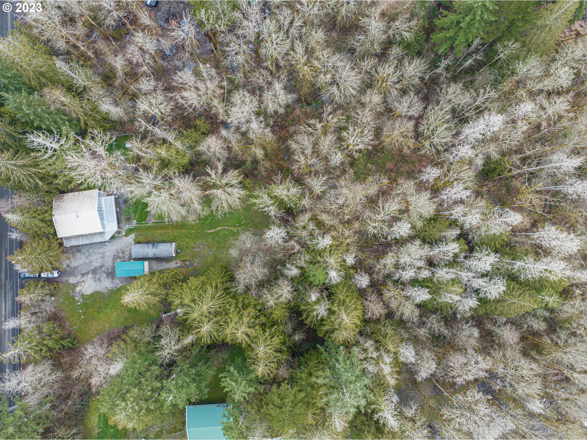 145 Park Road Winlock, WA 98596 - Photo 3 of 32 Gallery Image 3