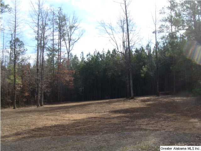 13899 Milldale Road Brookwood, AL 35444 - Photo 17 of 22
