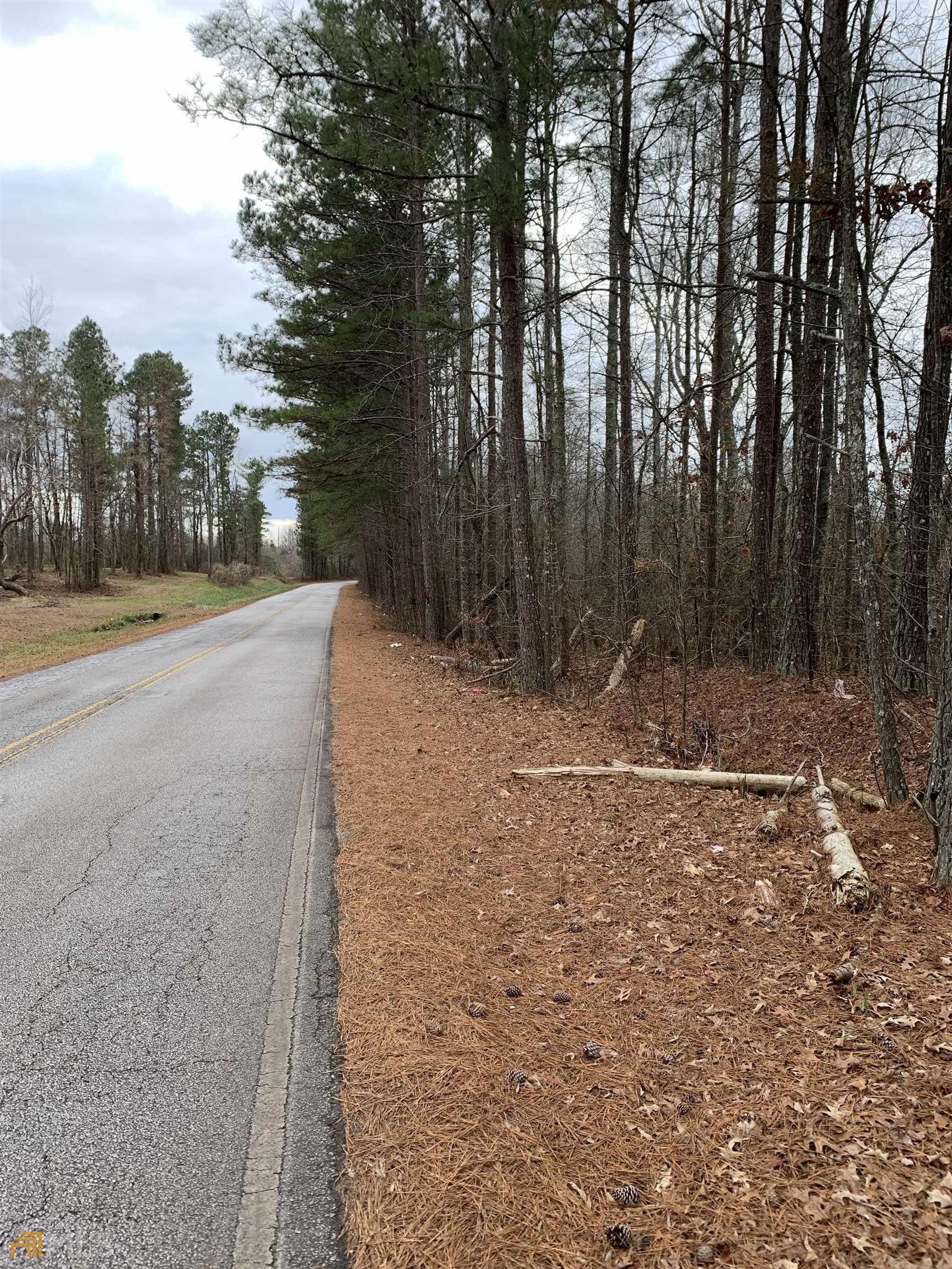 a view of outdoor space with trees