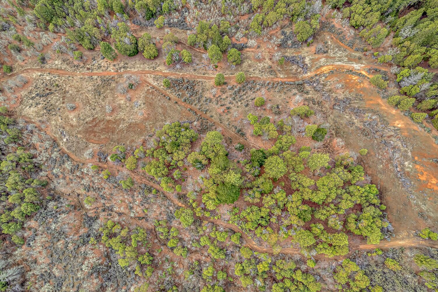 0 Sykes Creek Road Rogue River, OR 97537 - Photo 14 of 15