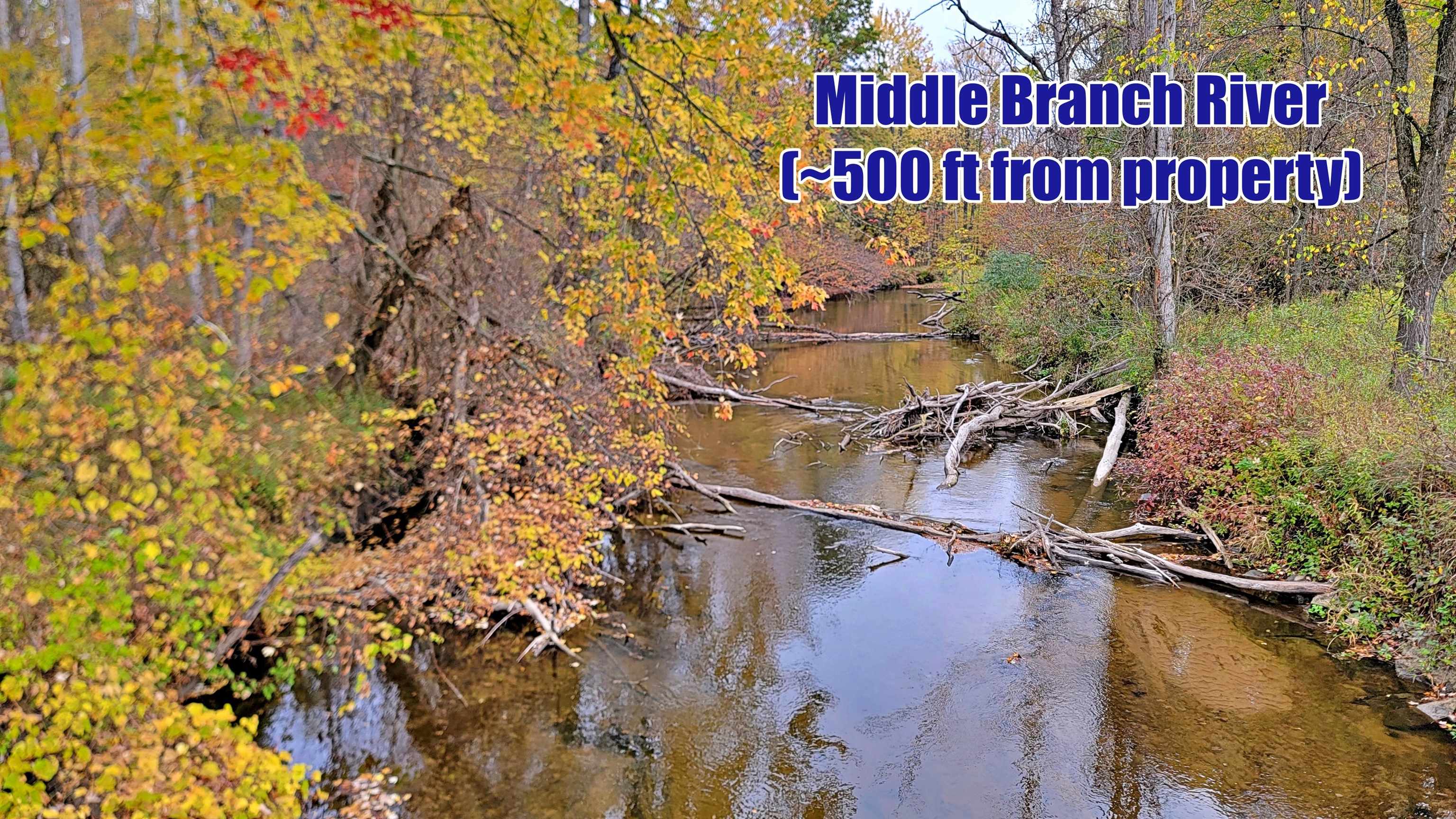 0 Twin Lake Road Marion, MI 49665 - Photo 8 of 33