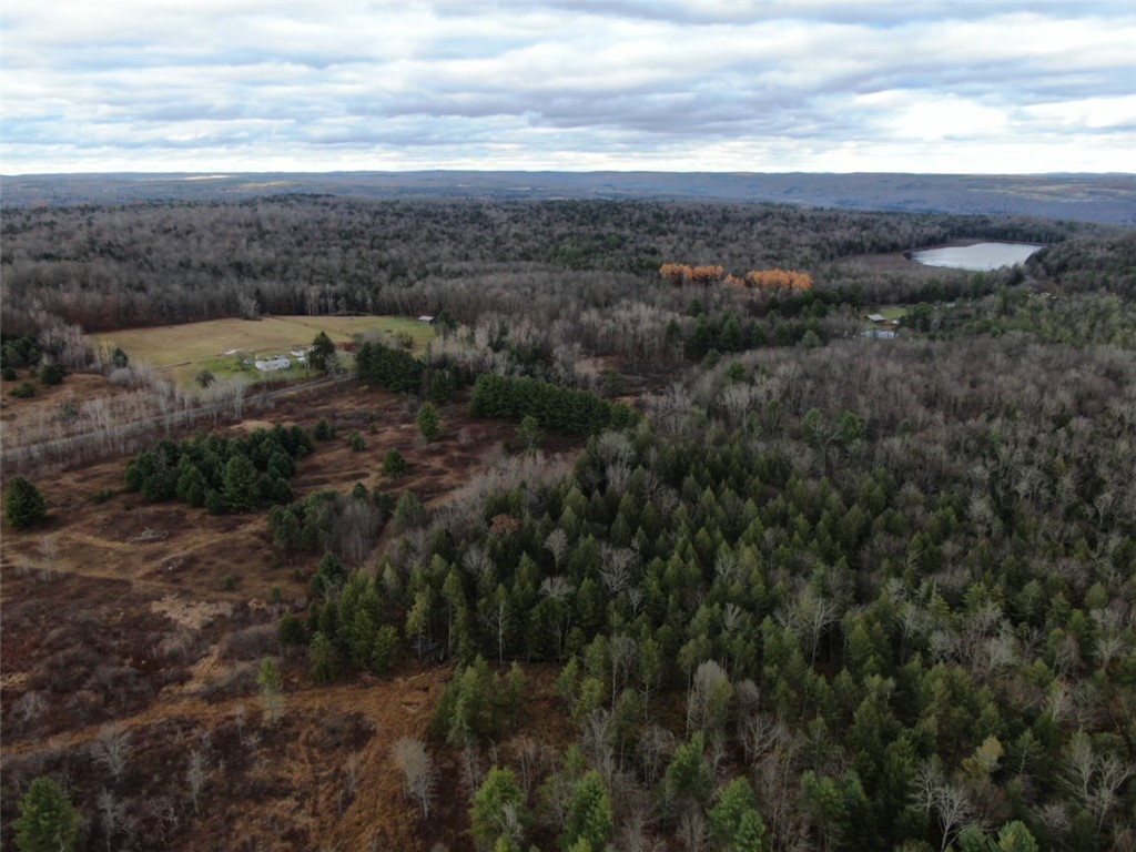 140 Round Pond Road Smithville, NY 13841 - Photo 29 of 31 Gallery Image 29