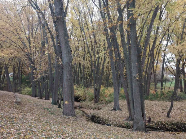 a backyard of a house with lots of green space