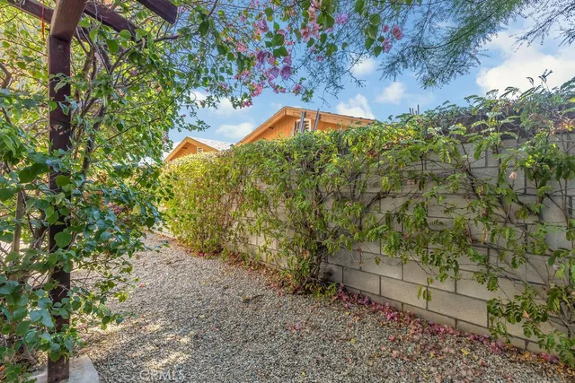 a view of a yard with plants and large trees