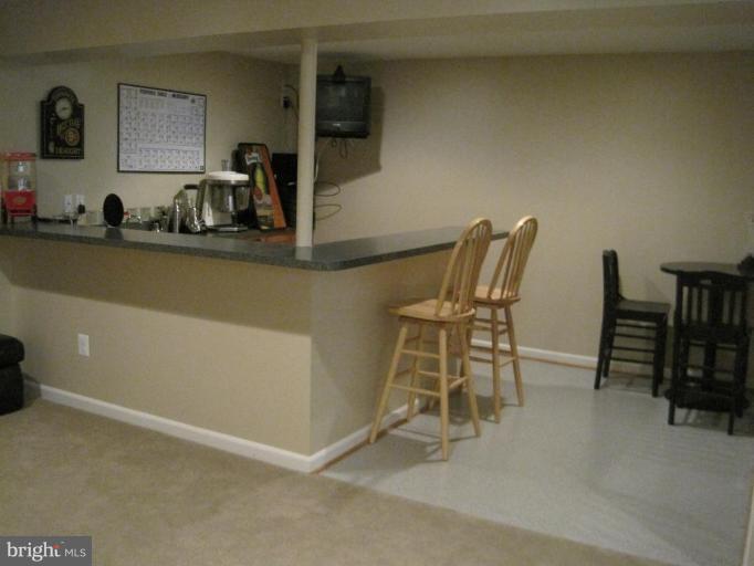 5729 Little Spring Way Frederick, MD 21704 - Photo 22 of 27 Basement #1