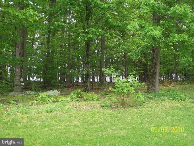 5729 Little Spring Way Frederick, MD 21704 - Photo 4 of 27 Back yard