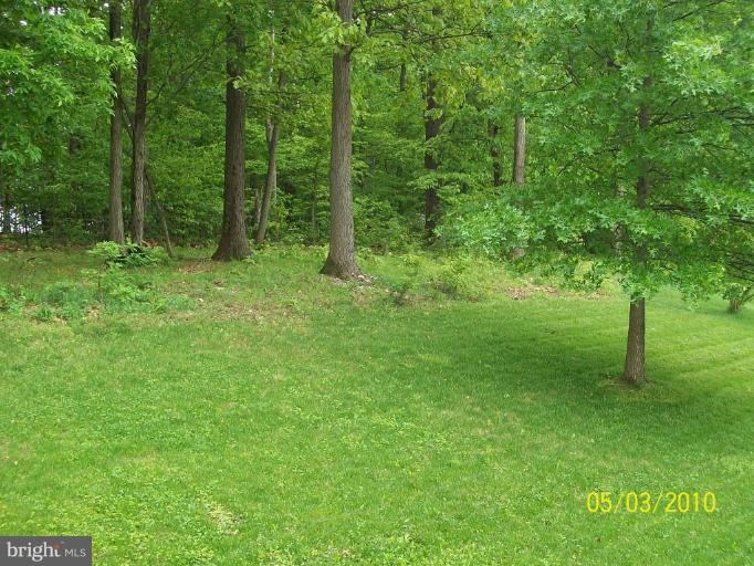 5729 Little Spring Way Frederick, MD 21704 - Photo 5 of 27 Deck - View from