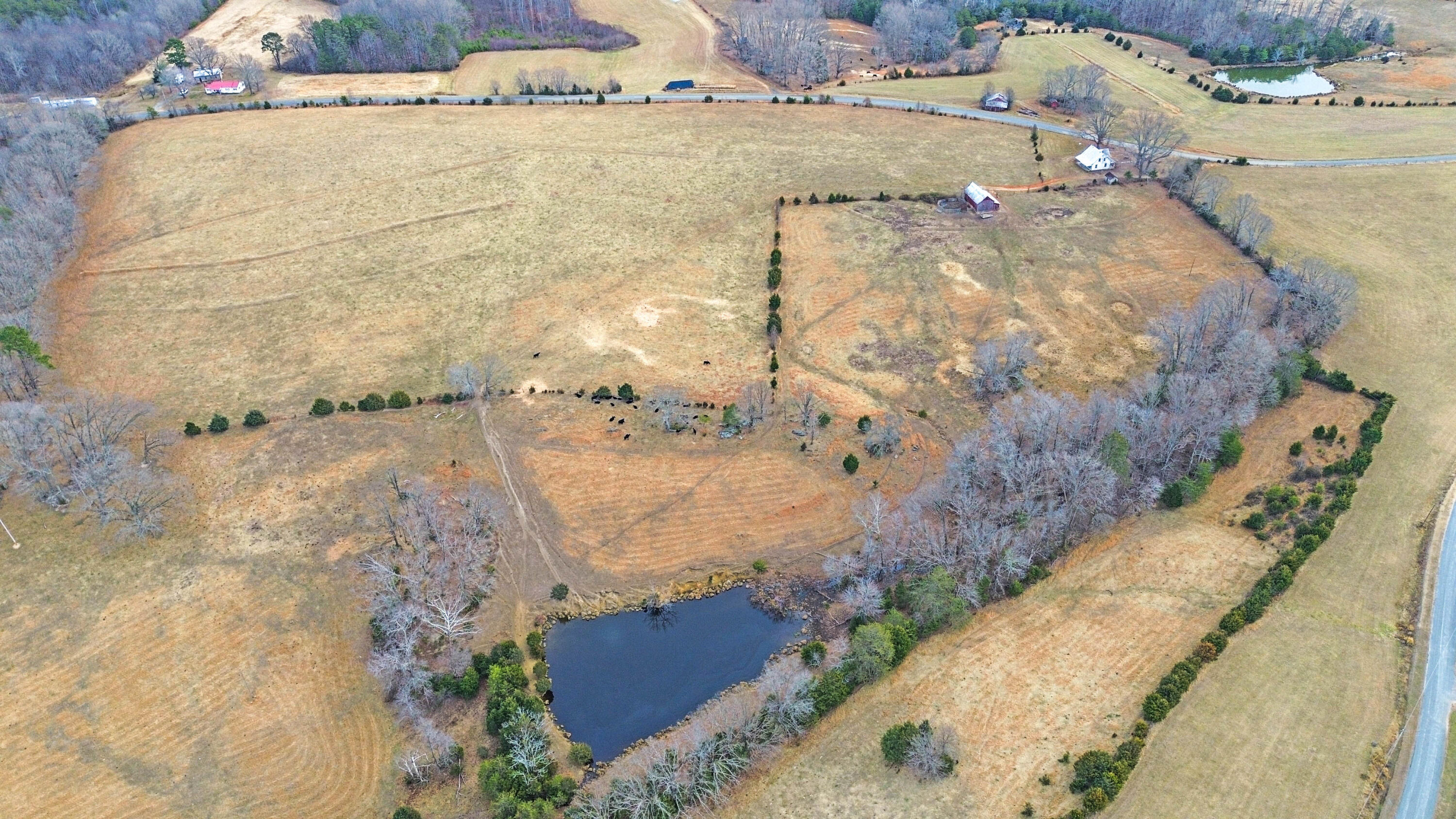 2359 Sago Road Penhook, VA 24137 - Photo 11 of 46 2359 Sago Rd - 98ac Farm
