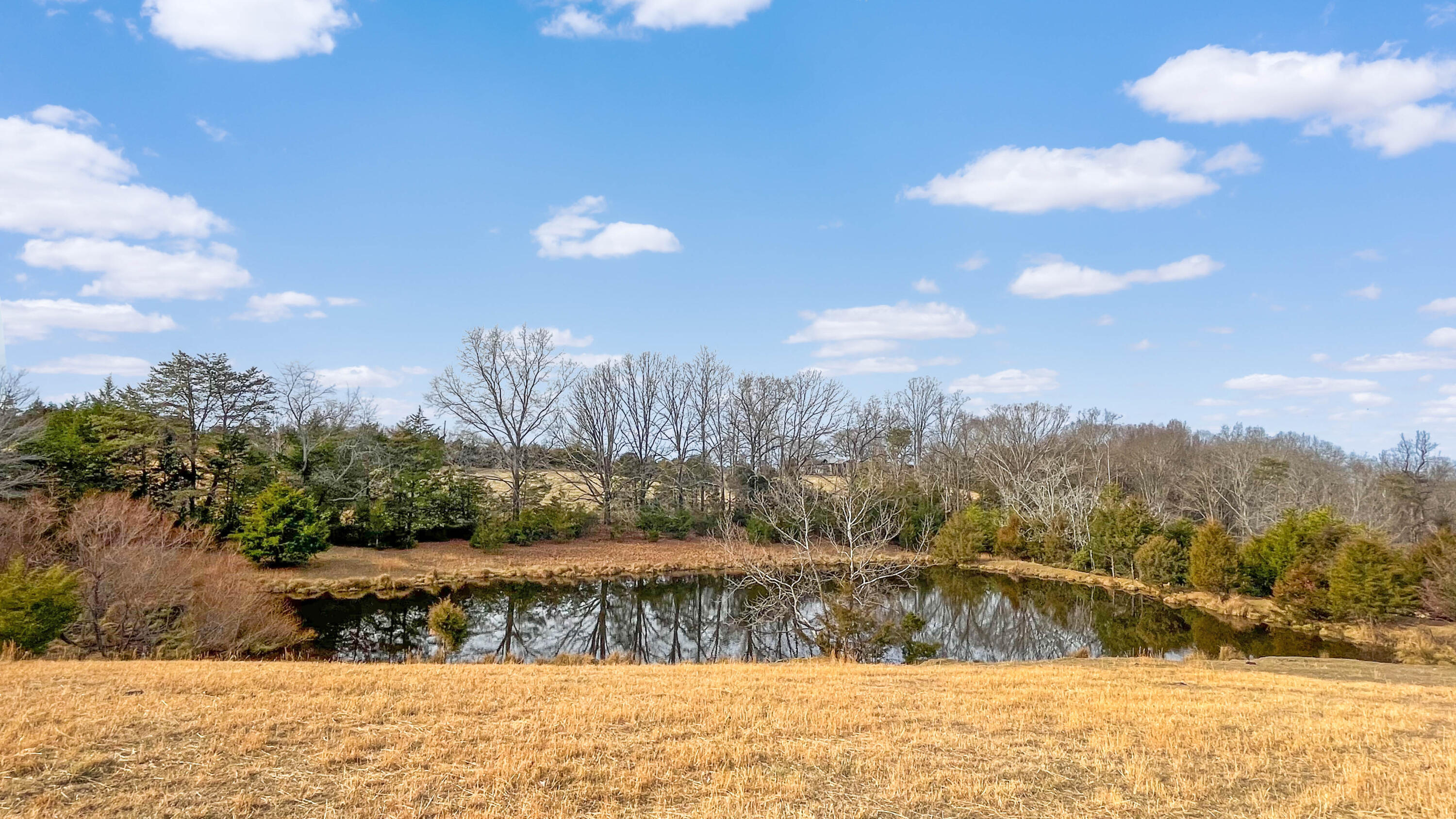 2359 Sago Road Penhook, VA 24137 - Photo 12 of 46 2359 Sago Rd - 98ac Farm