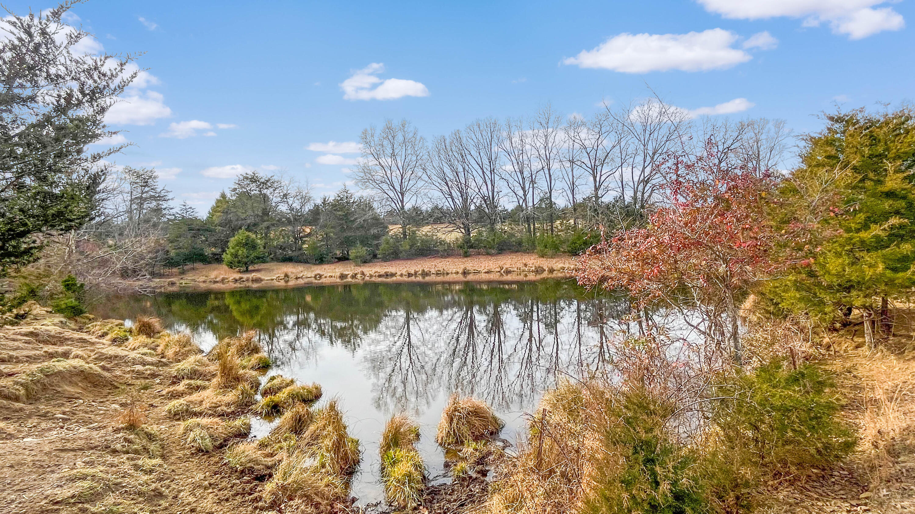 2359 Sago Road Penhook, VA 24137 - Photo 13 of 46 2359 Sago Rd - 98ac Farm