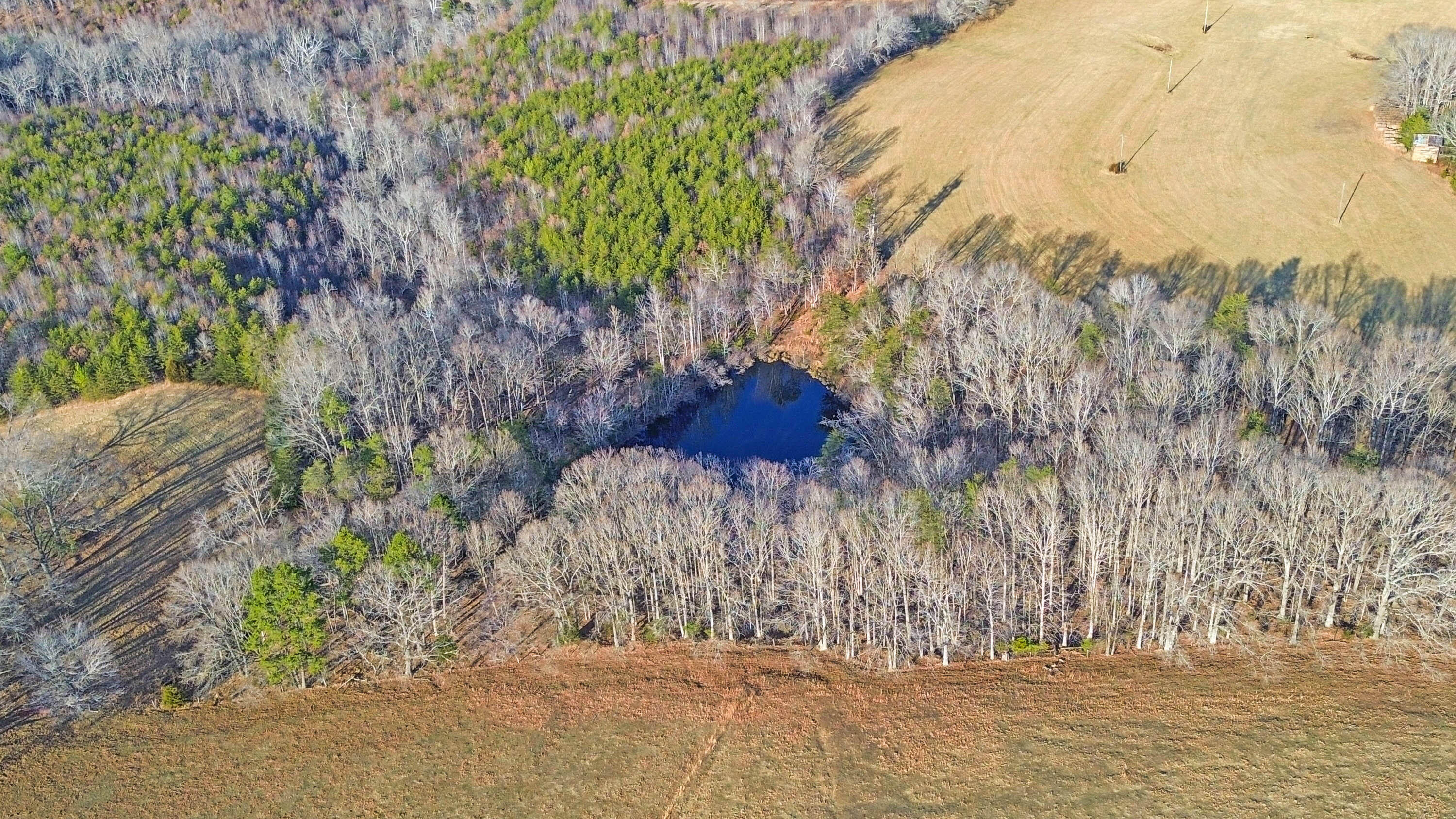 2359 Sago Road Penhook, VA 24137 - Photo 14 of 46 2359 Sago Rd - 98ac Farm