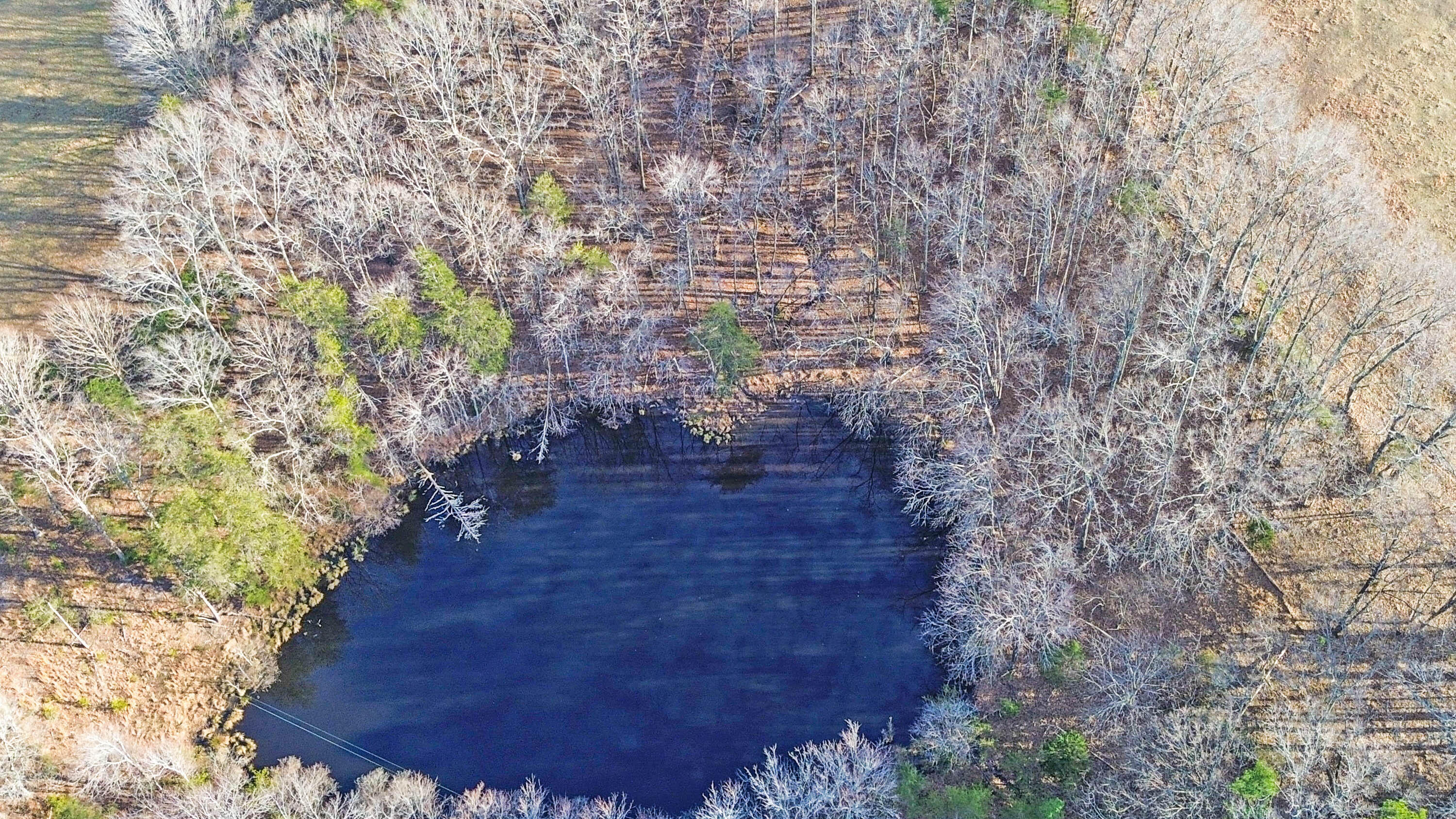 2359 Sago Road Penhook, VA 24137 - Photo 15 of 46 2359 Sago Rd - 98ac Farm