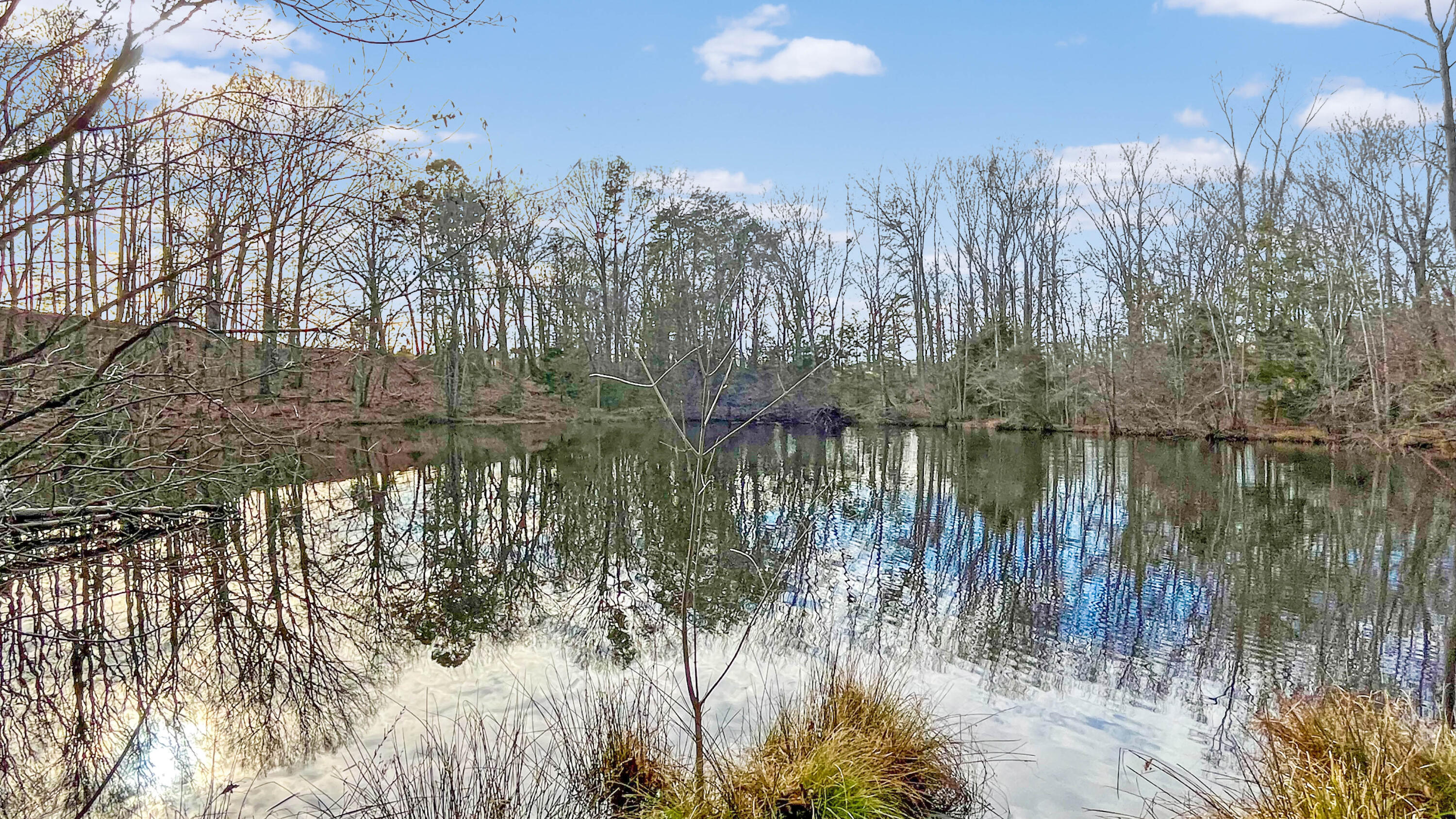 2359 Sago Road Penhook, VA 24137 - Photo 16 of 46 2359 Sago Rd - 98ac Farm