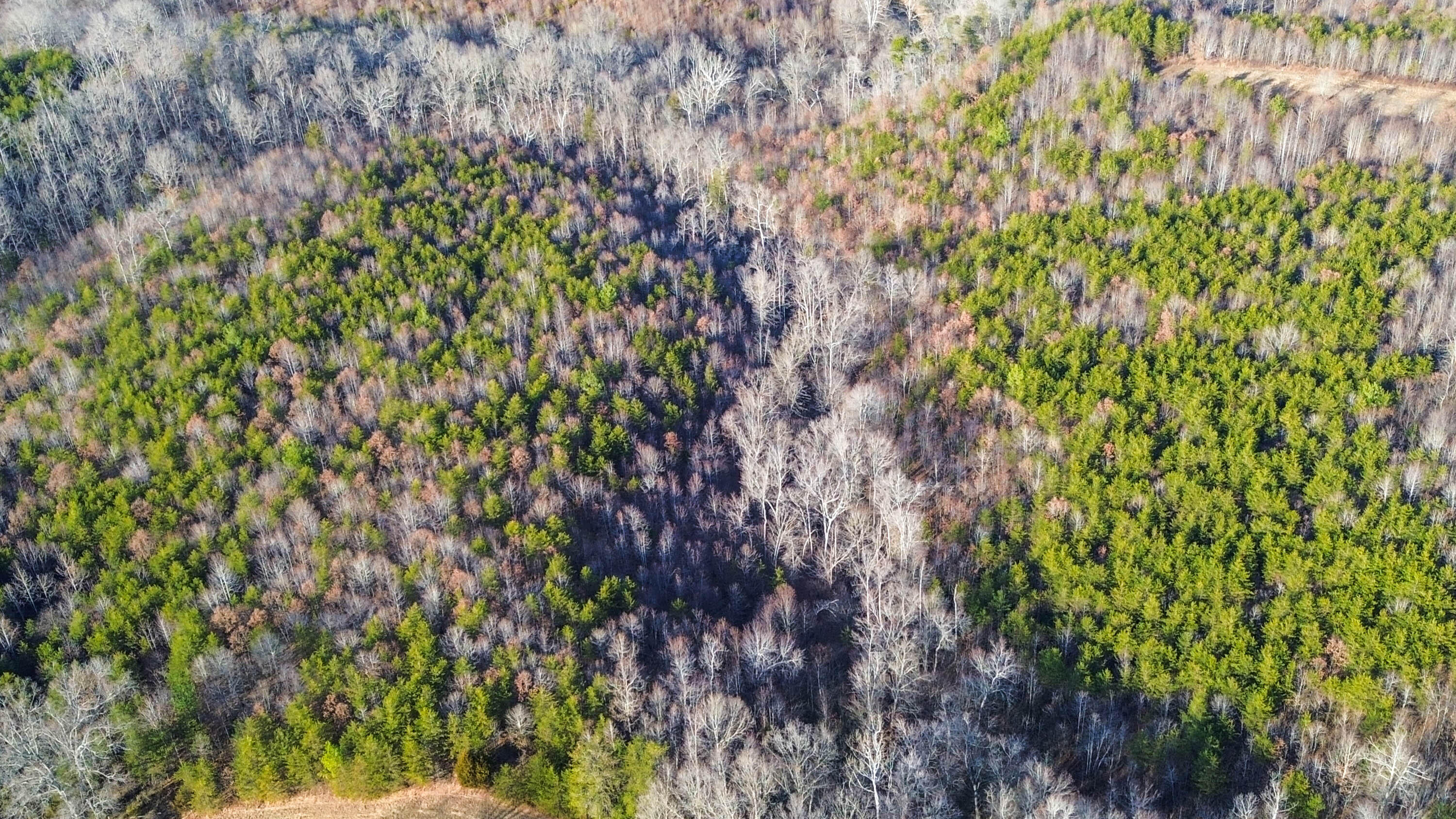 2359 Sago Road Penhook, VA 24137 - Photo 19 of 46 2359 Sago Rd - 98ac Farm