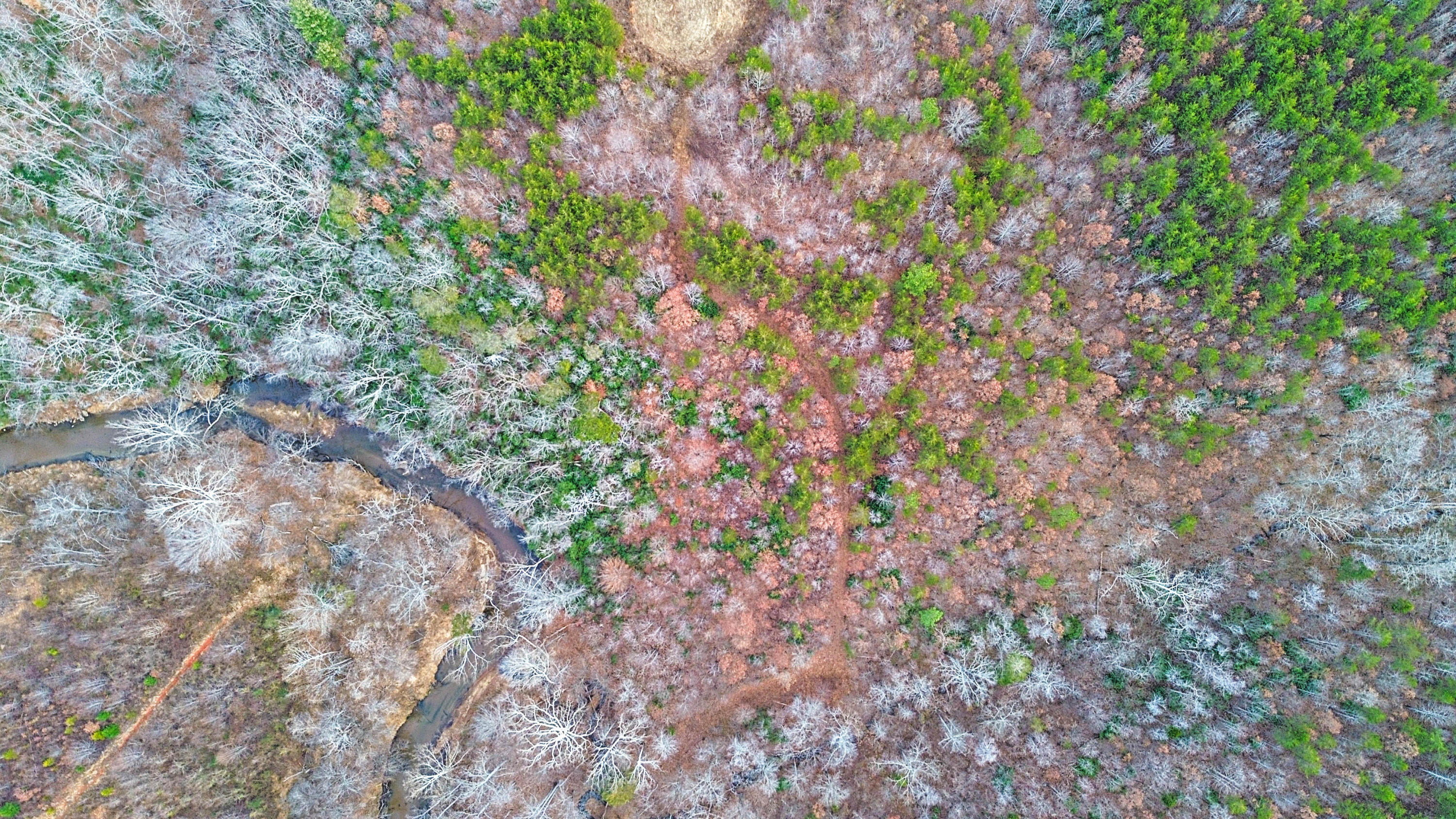 2359 Sago Road Penhook, VA 24137 - Photo 20 of 46 2359 Sago Rd - 98ac Farm