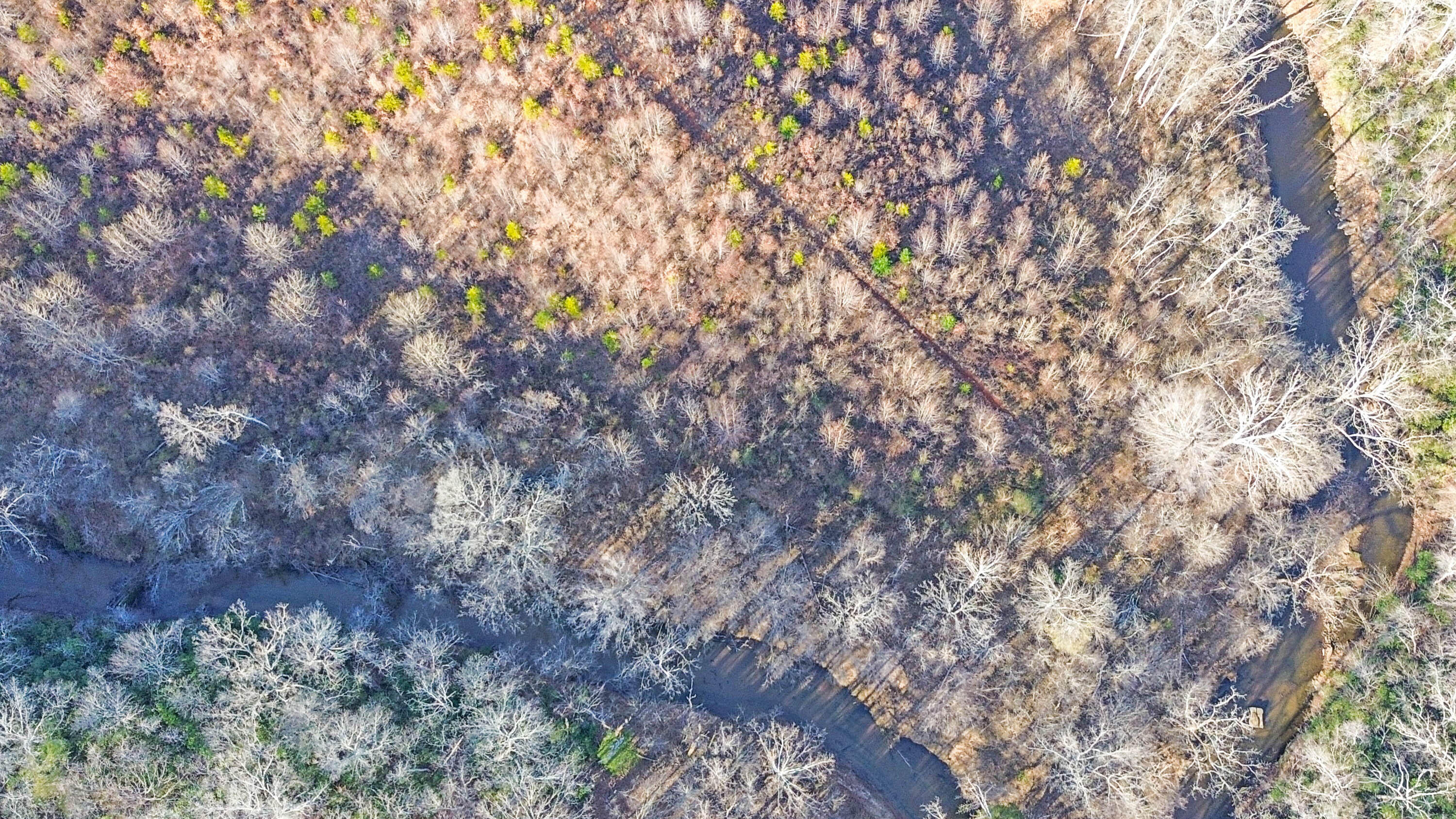 2359 Sago Road Penhook, VA 24137 - Photo 21 of 46 2359 Sago Rd - 98ac Farm