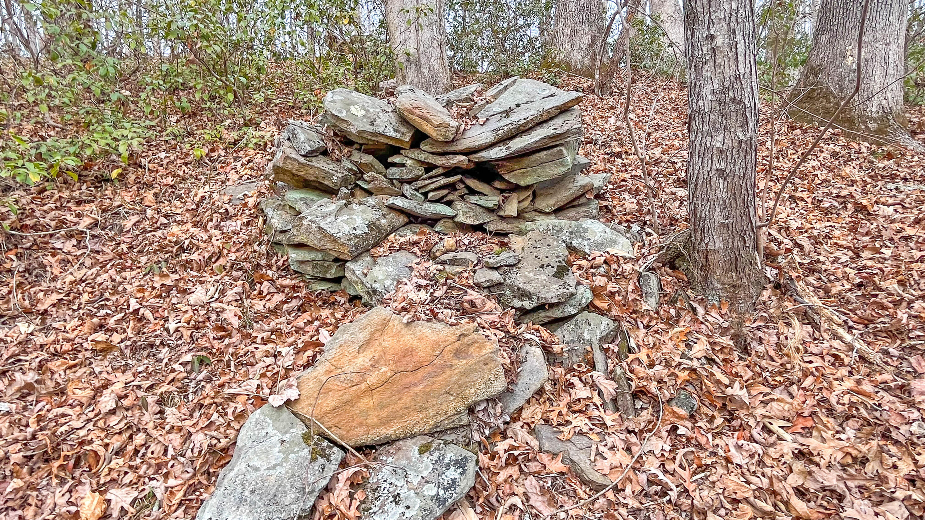 2359 Sago Road Penhook, VA 24137 - Photo 36 of 46 2359 Sago Rd - 98ac Farm