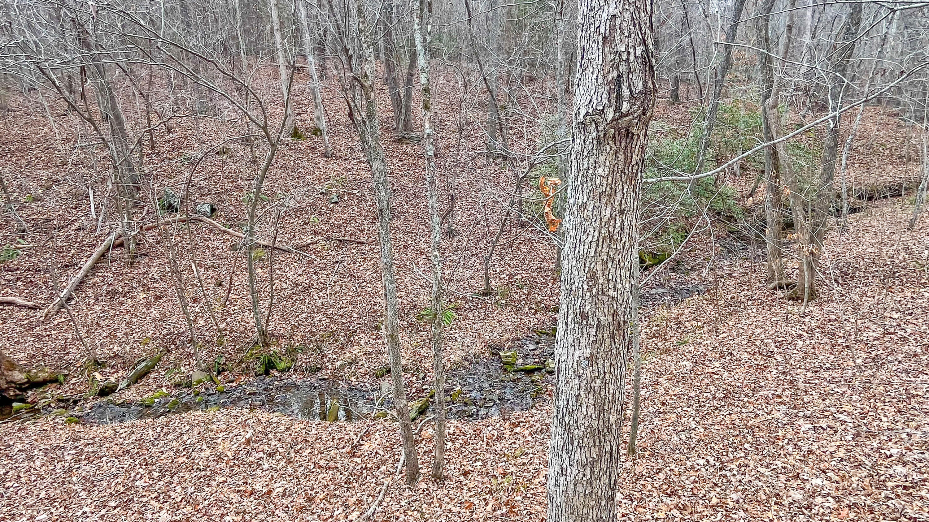 2359 Sago Road Penhook, VA 24137 - Photo 37 of 46 2359 Sago Rd - 98ac Farm