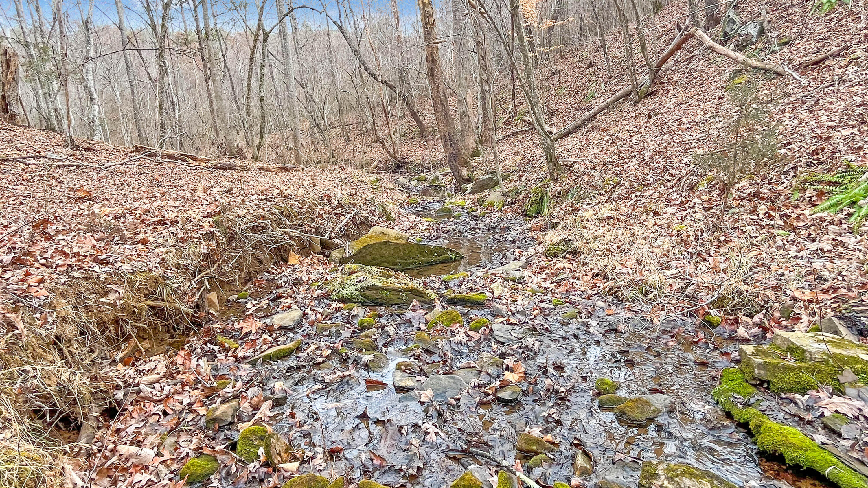 2359 Sago Road Penhook, VA 24137 - Photo 38 of 46 2359 Sago Rd - 98ac Farm