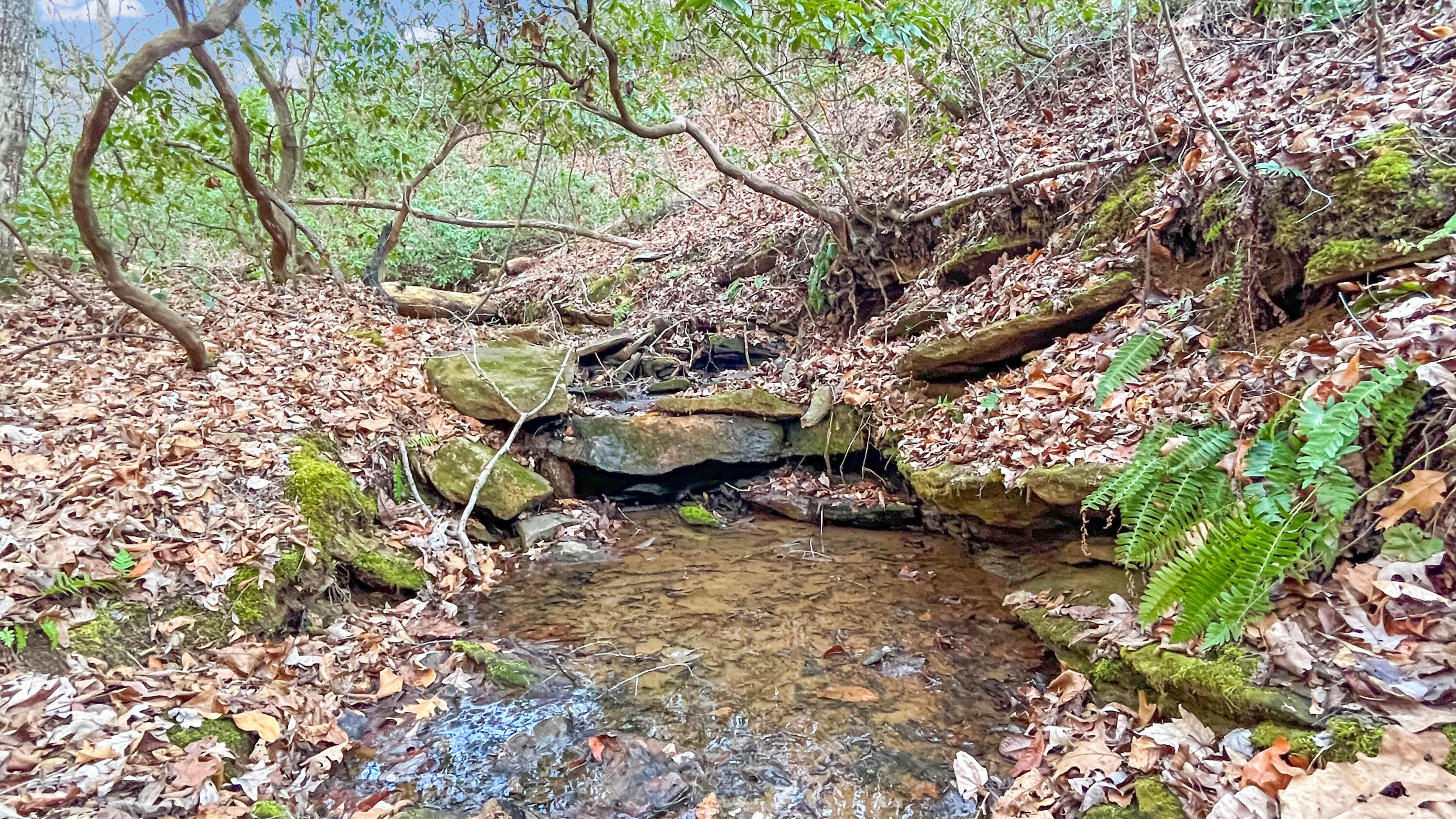 2359 Sago Road Penhook, VA 24137 - Photo 39 of 46 2359 Sago Rd - 98ac Farm