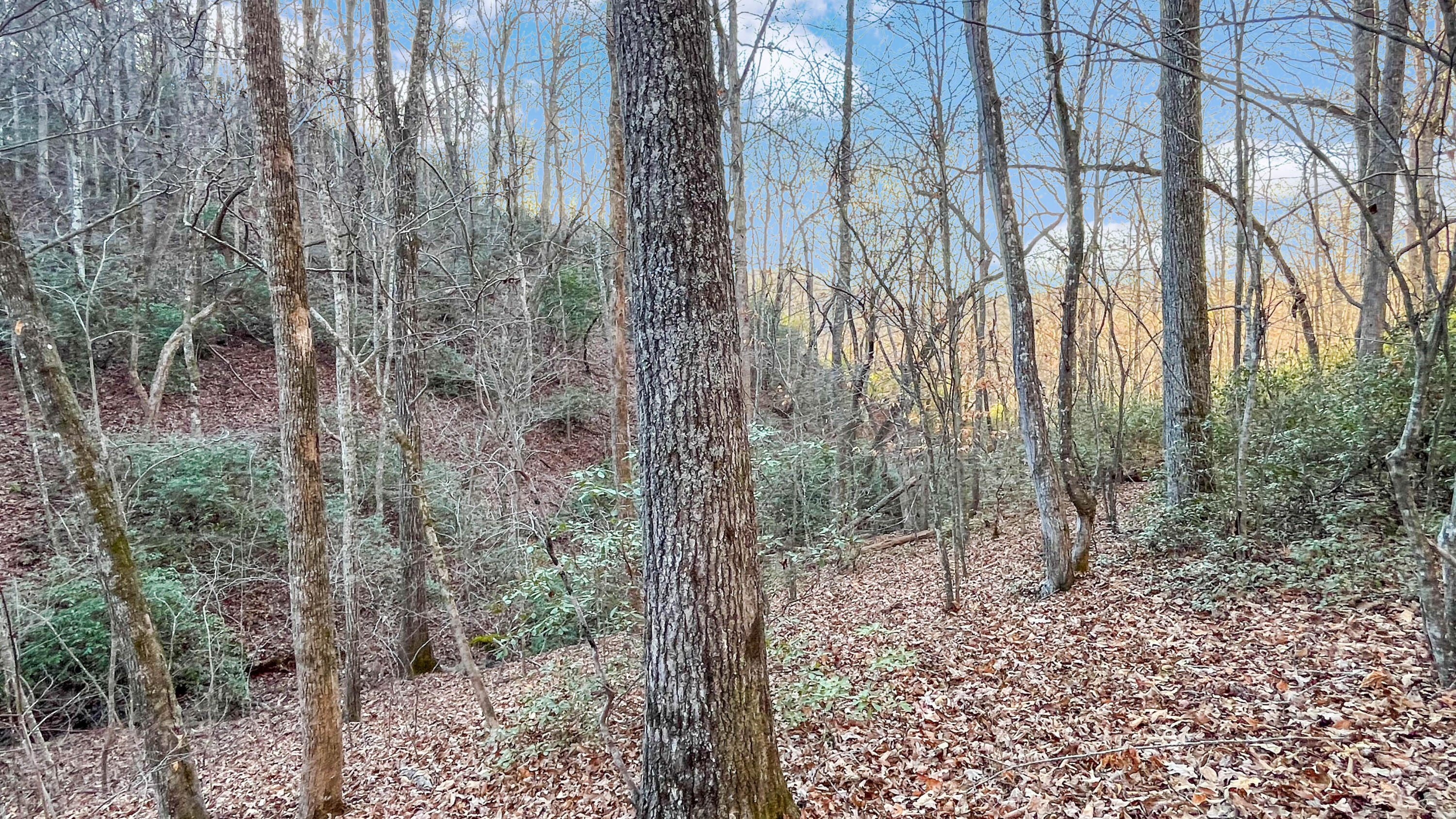 2359 Sago Road Penhook, VA 24137 - Photo 41 of 46 2359 Sago Rd - 98ac Farm