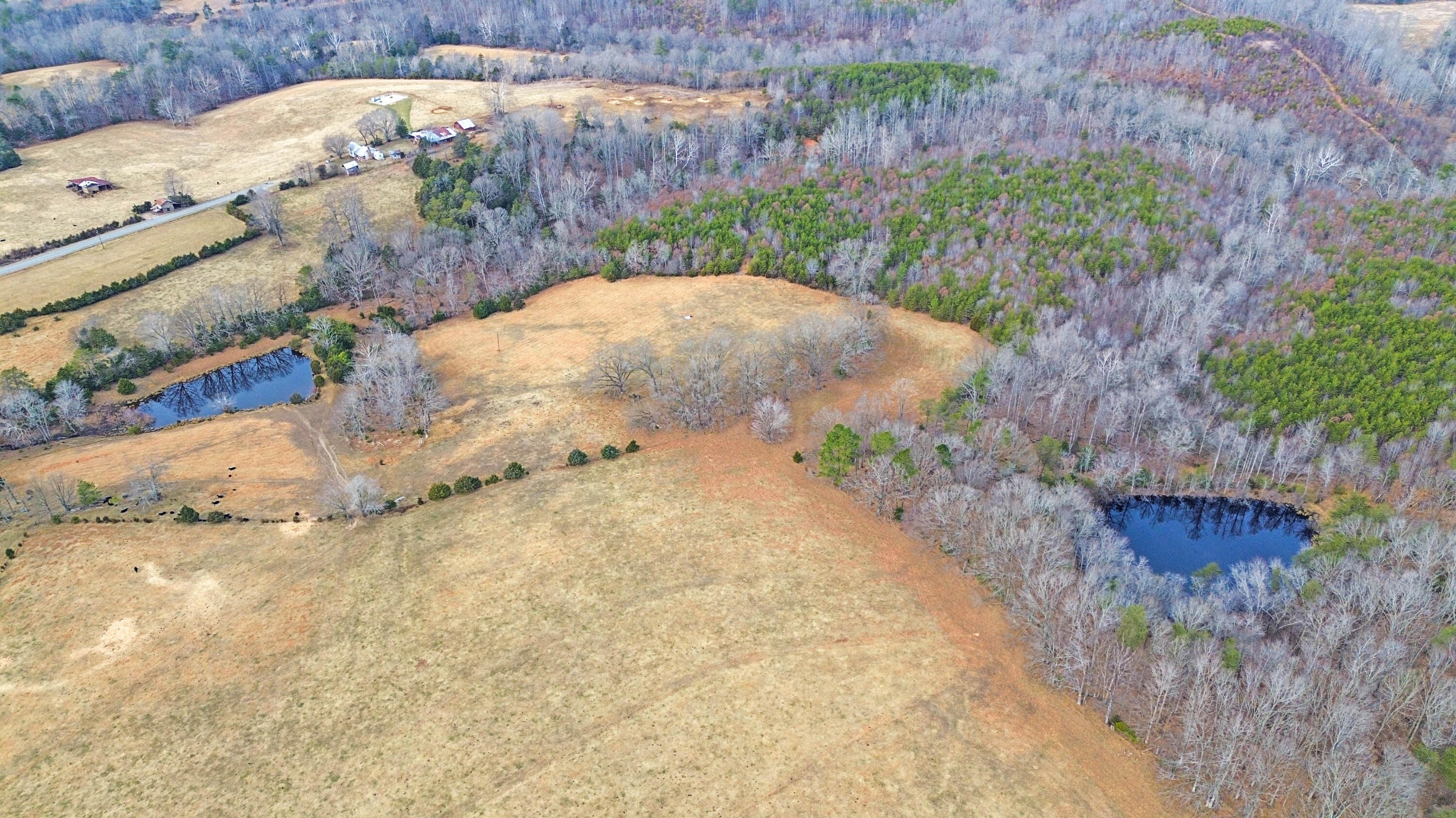 2359 Sago Road Penhook, VA 24137 - Photo 9 of 46 2359 Sago Rd - 98ac Farm