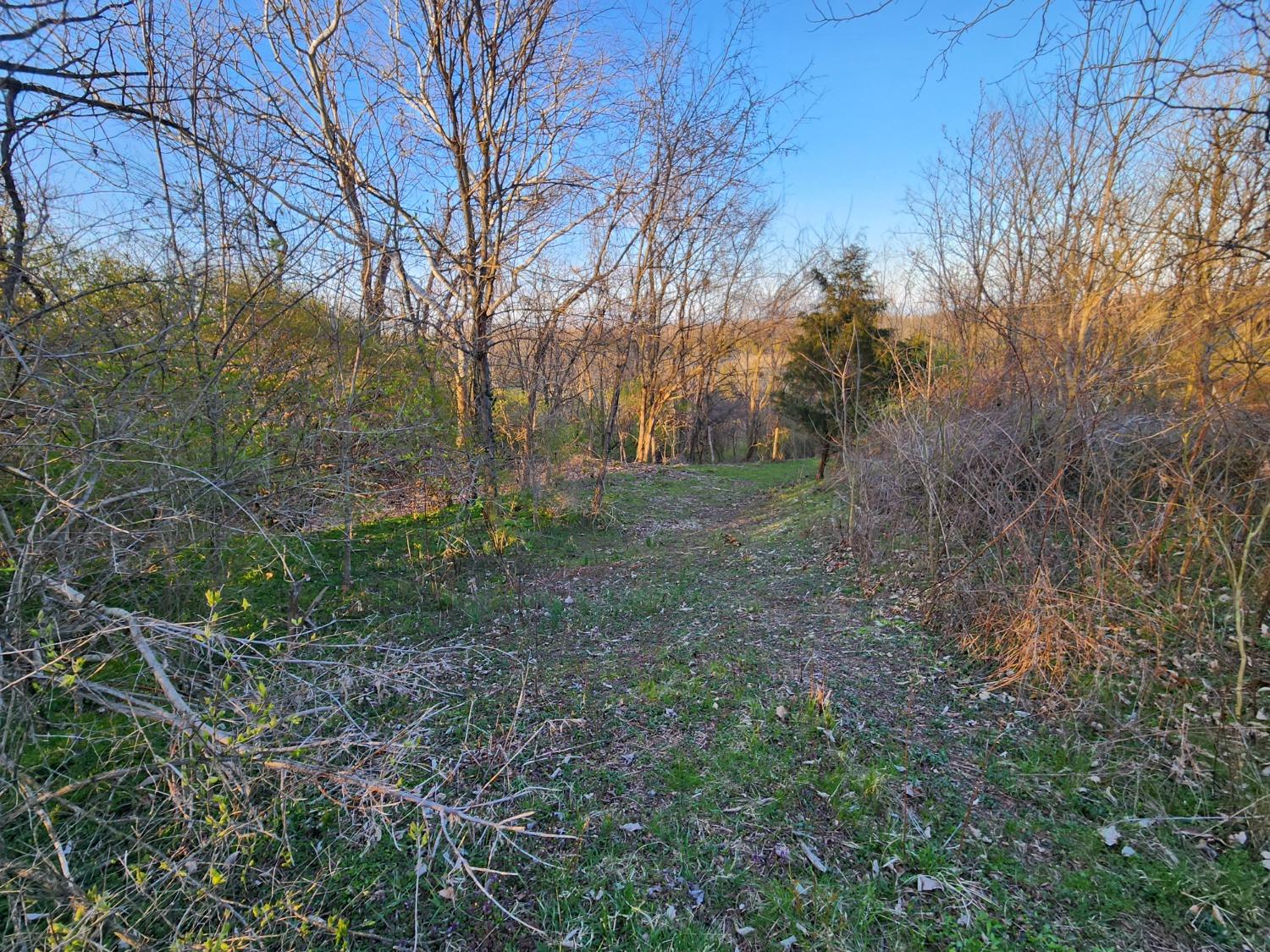 5994 Nelson Road Rising Sun, IN 47040 - Photo 25 of 42