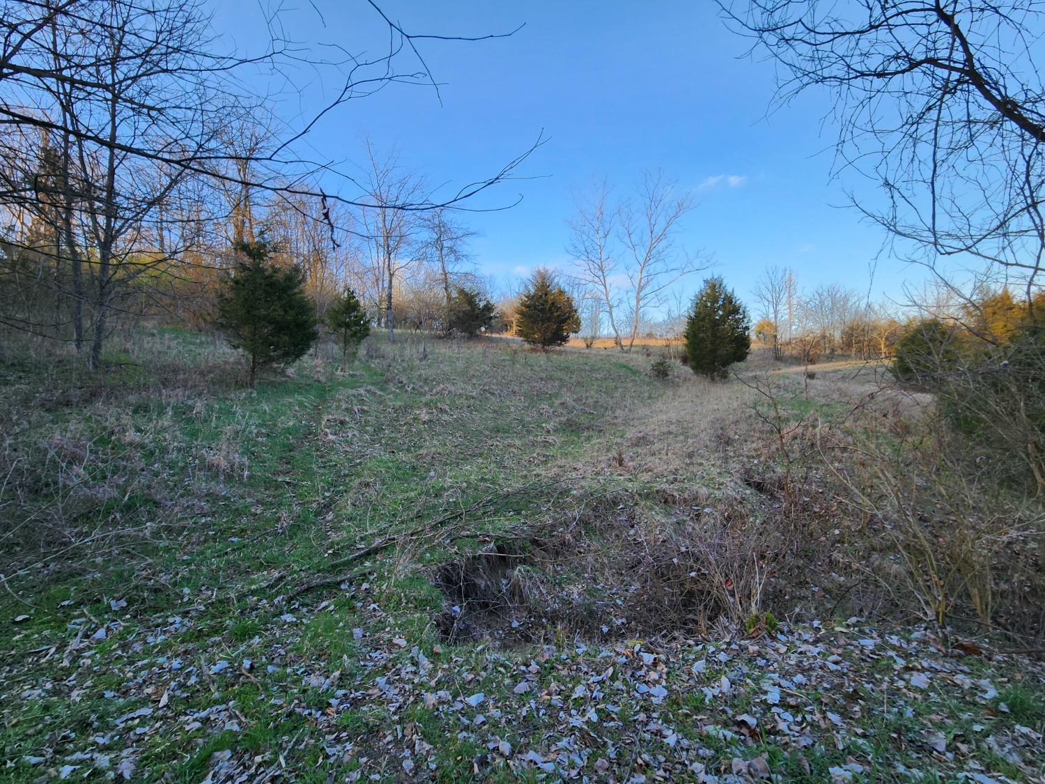 5994 Nelson Road Rising Sun, IN 47040 - Photo 27 of 42
