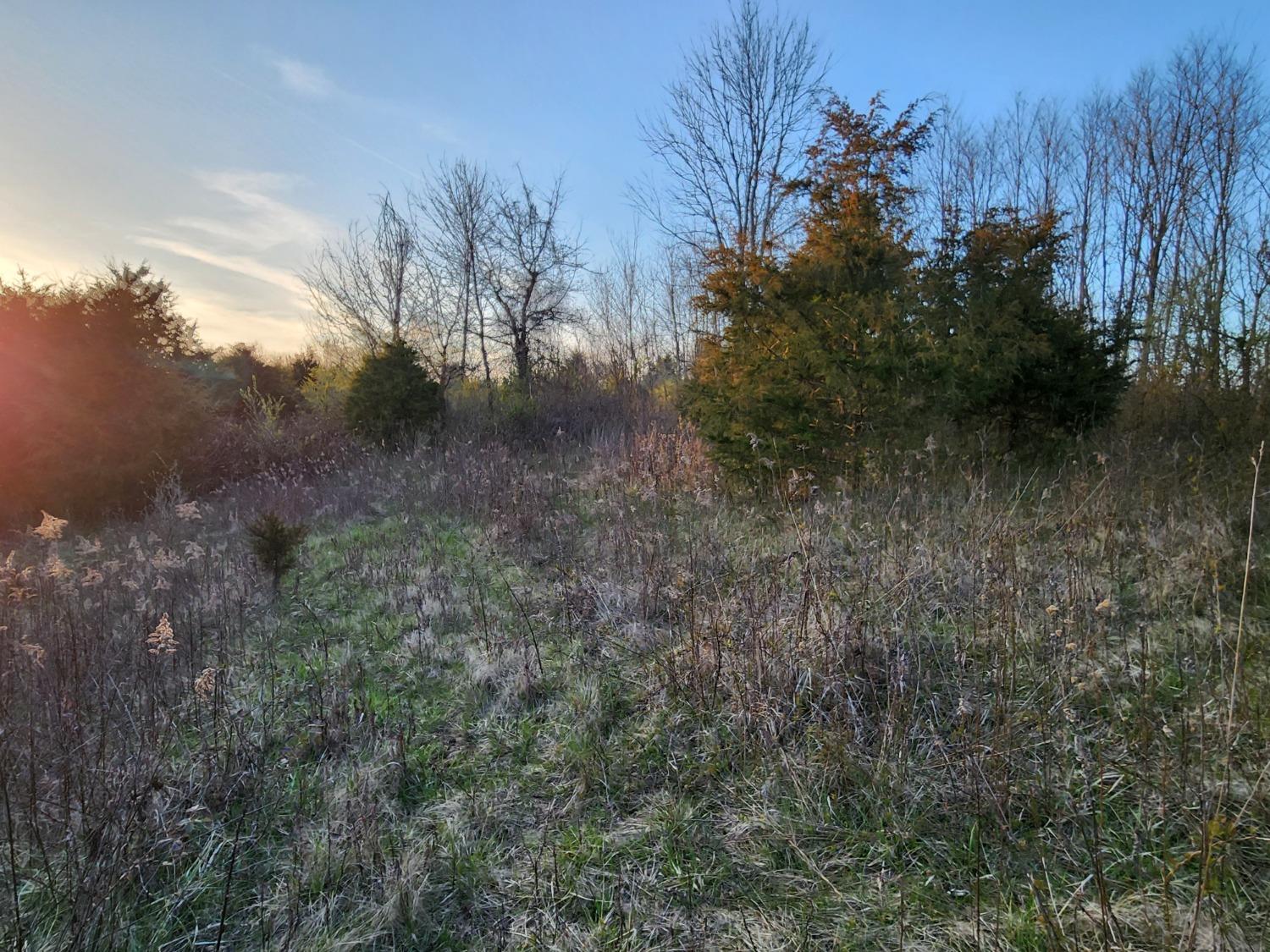 5994 Nelson Road Rising Sun, IN 47040 - Photo 31 of 42