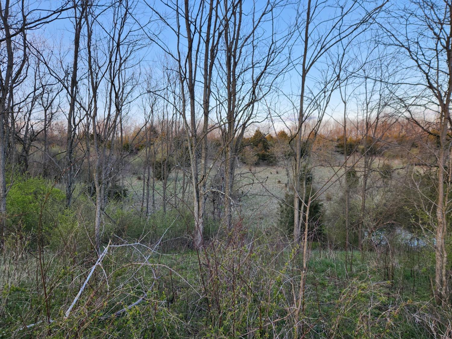 5994 Nelson Road Rising Sun, IN 47040 - Photo 41 of 42