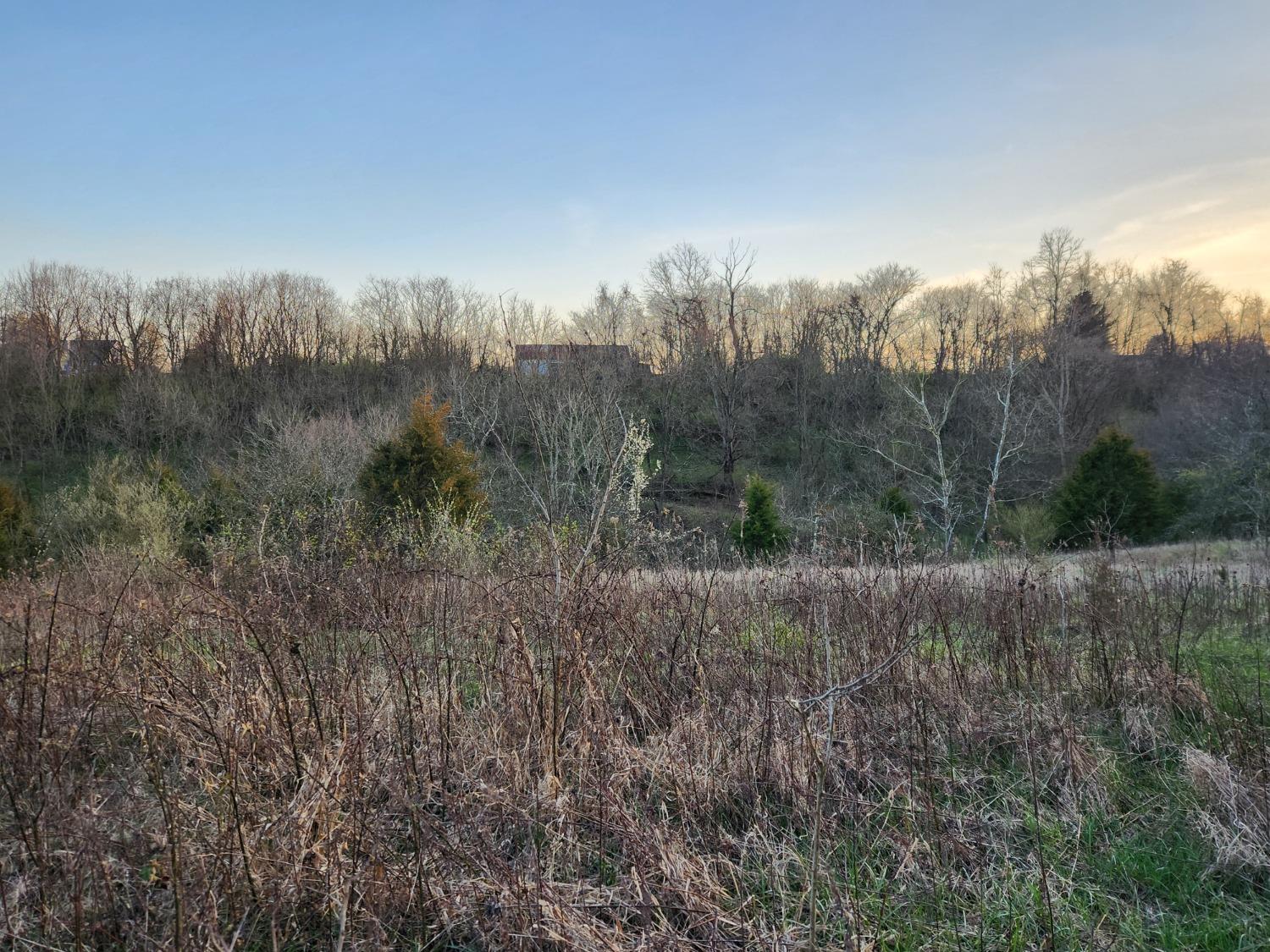 5994 Nelson Road Rising Sun, IN 47040 - Photo 42 of 42
