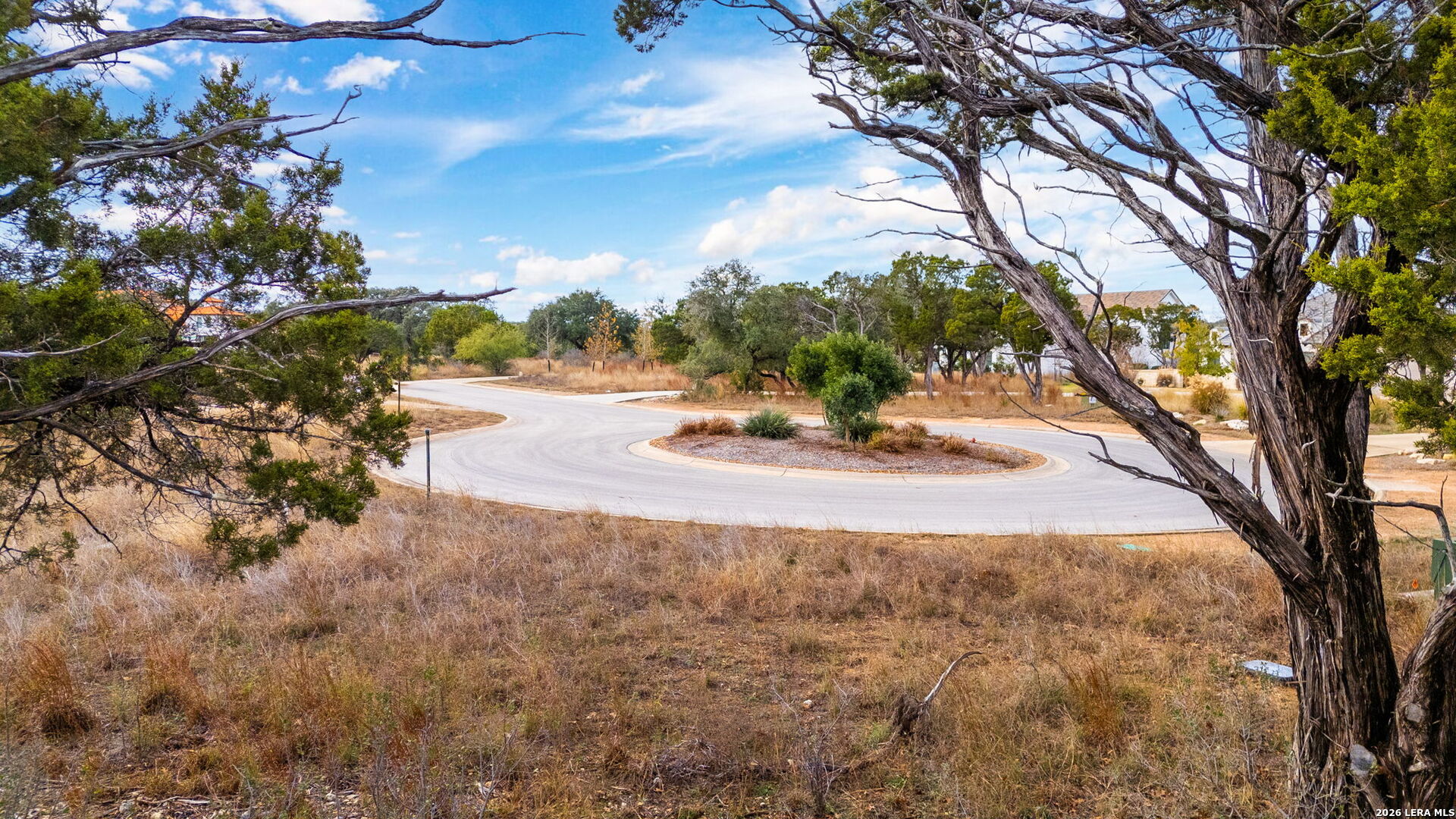 Lot 12 Landmark Ridge Bergheim, TX 78004 - Photo 11 of 16 a view of a tree with a yard