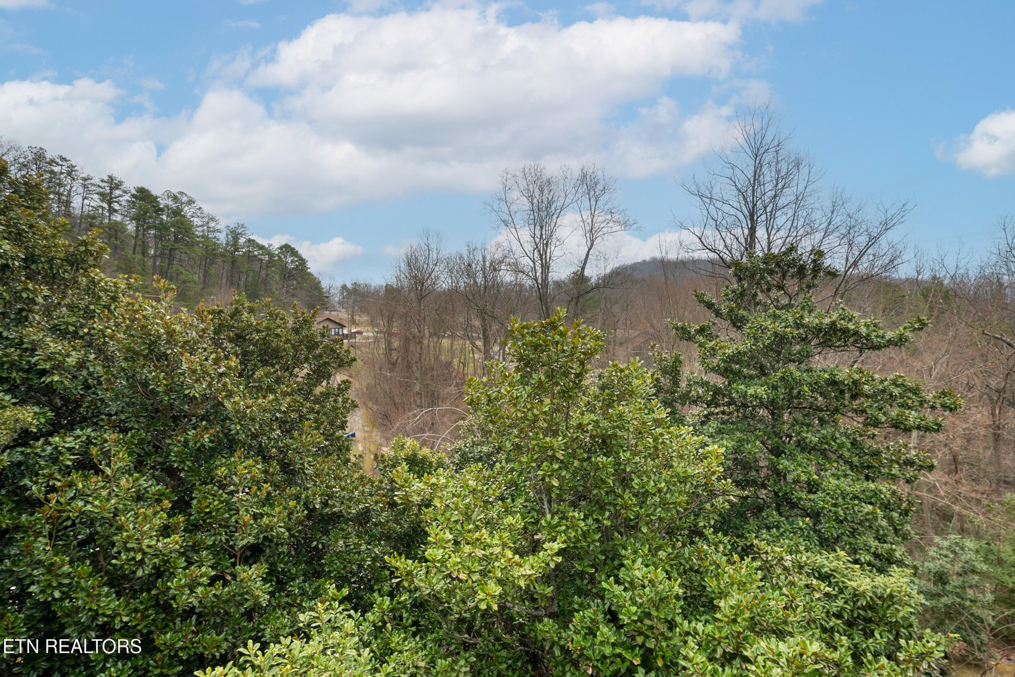 1081 Cove Road, Unit 832 Sevierville, TN 37876 - Photo 10 of 19 Gallery Image 10