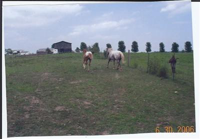 1611 Frog Branch Road Paint Lick, KY 40461 - Photo 9 of 33 Photo 9