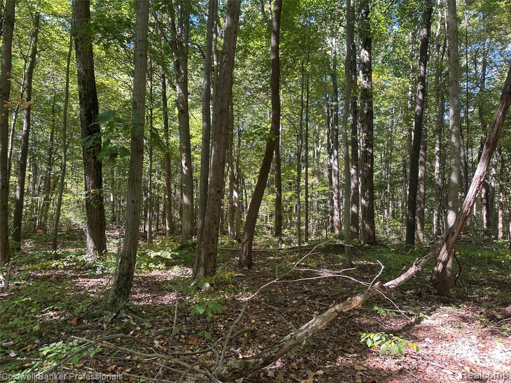 14235 Wanty Road Milan, MI 48160 - Photo 10 of 19