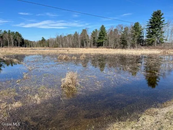 $89,900 | L11.1 Corbin Hill Road, Sloansville, NY 12160