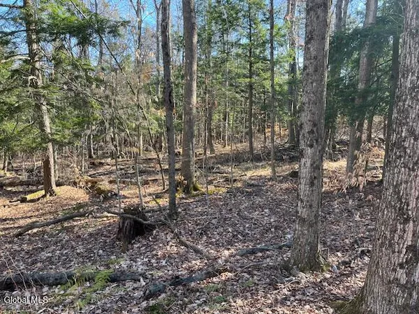 $89,900 | L11.1 Corbin Hill Road, Sloansville, NY 12160