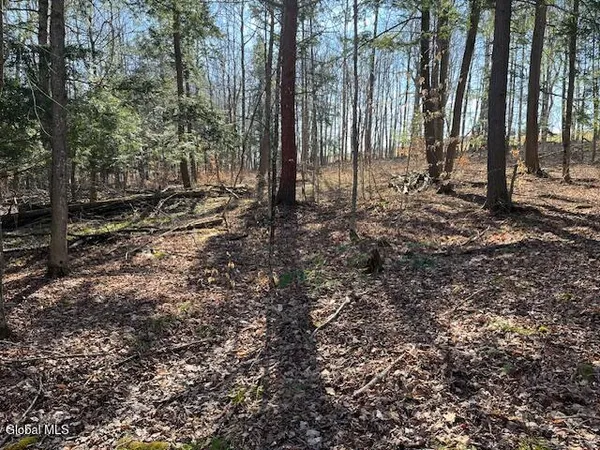 $89,900 | L11.1 Corbin Hill Road, Sloansville, NY 12160