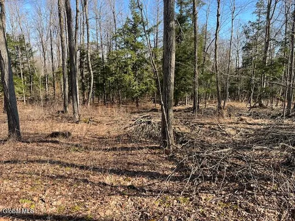 $89,900 | L11.1 Corbin Hill Road, Sloansville, NY 12160