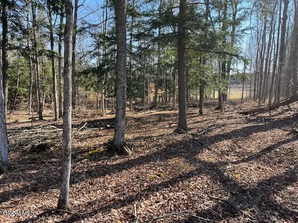 $89,900 | L11.1 Corbin Hill Road, Sloansville, NY 12160