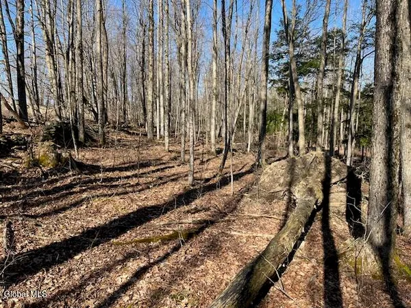$89,900 | L11.1 Corbin Hill Road, Sloansville, NY 12160