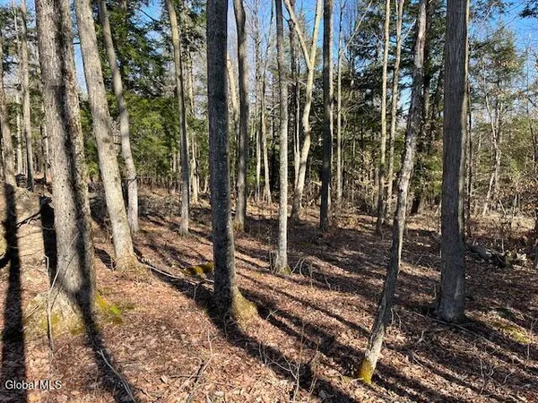 $89,900 | L11.1 Corbin Hill Road, Sloansville, NY 12160