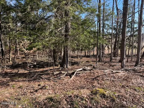 $89,900 | L11.1 Corbin Hill Road, Sloansville, NY 12160