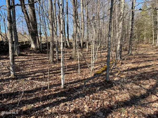$89,900 | L11.1 Corbin Hill Road, Sloansville, NY 12160
